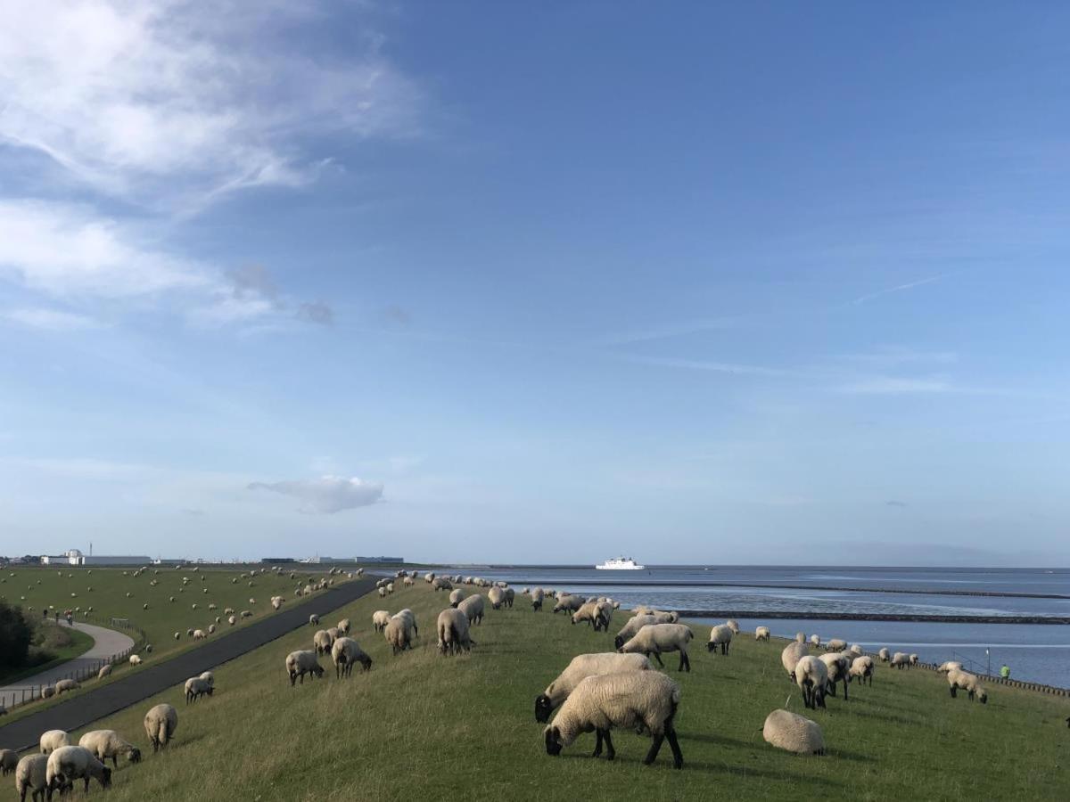 Wind Und Meer - Traumhaft An Der Nordsee Norddeich  Bagian luar foto